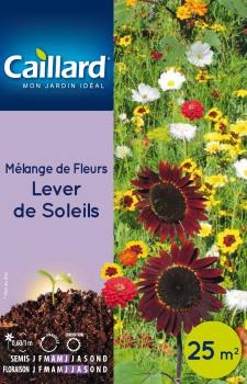 MELANGE DE FLEURS LEVER DE SOLEILS