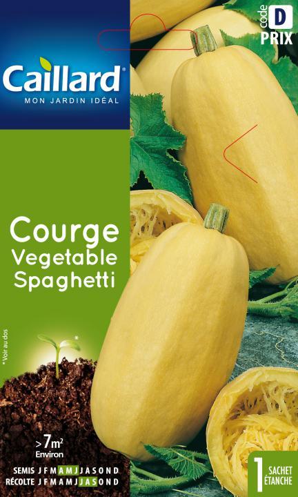 Courge Vegetable Spaghetti Graines Caillard