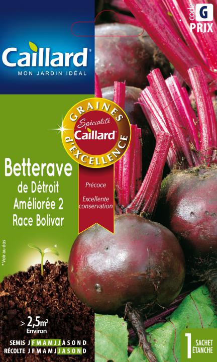 BETTERAVE de Détroit améliorée 150 graines Beta vulgaris