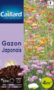 GAZON JAPONAIS