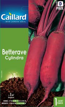 BETTERAVE CYLINDRA