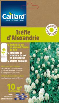 TREFLE D'ALEXANDRIE