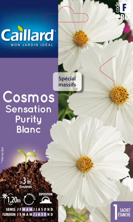 Cosmos sensation purity blanc - Graines Caillard