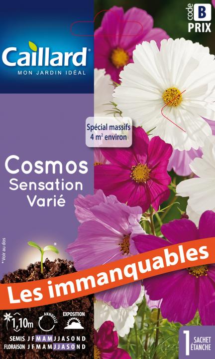 Cosmos sensation varie - Graines Caillard