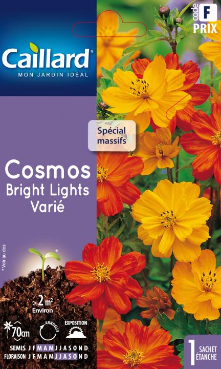 Cosmos bright lights varie - Graines Caillard