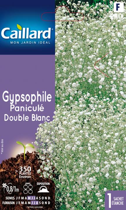 Gypsophile panicule double blanc - Graines Caillard
