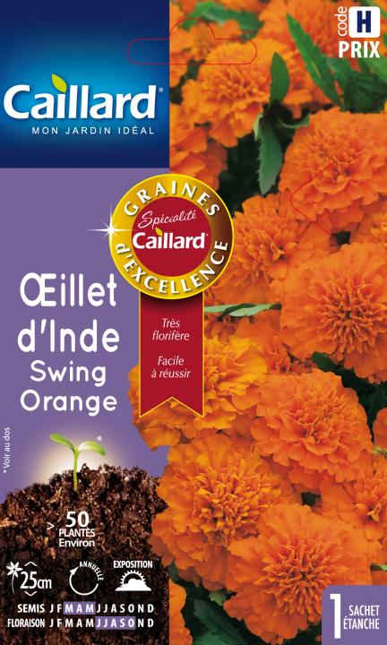 Oeillet d'inde swing orange - Graines Caillard