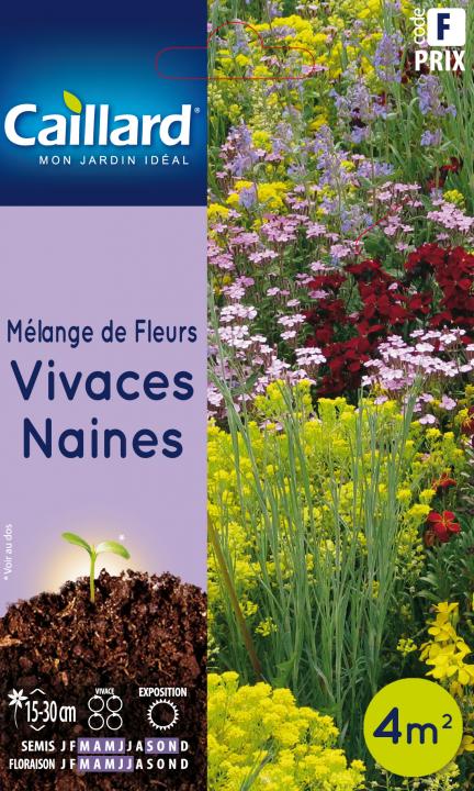 MELANGE DE FLEURS VIVACES NAINES