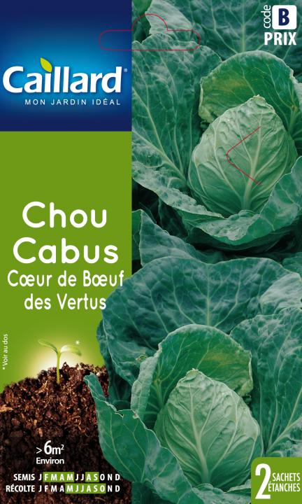 CHOU CABUS COEUR DE BOEUF DES VERTUS