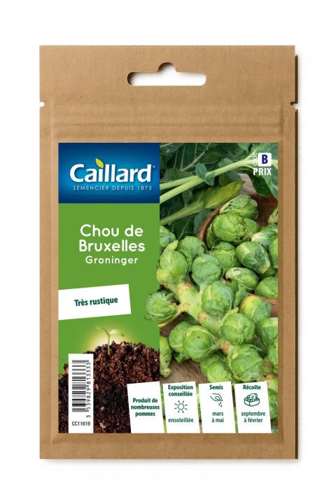 CHOU DE BRUXELLES GRONINGER