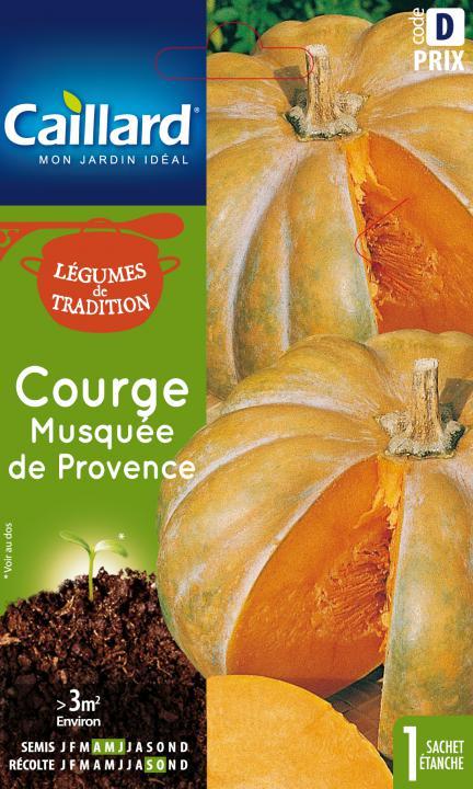 COURGE MUSQUEE DE PROVENCE