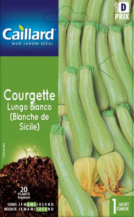 COURGETTE LUNGO BIANCO (BLANCHE DE SICILE)