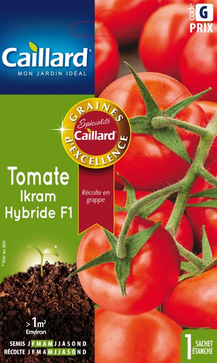 Graines de tomate premio hybride F1 en sachet Truffaut