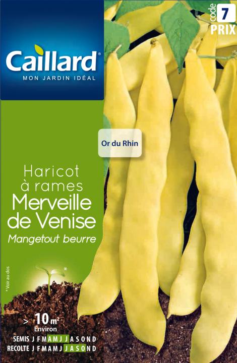 HARICOT A RAMES BEURRE MERVEILLE DE VENISE (OR DU RHIN)