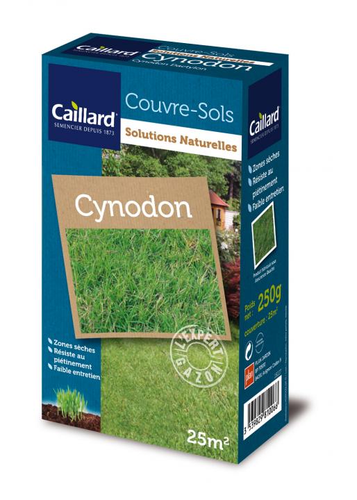 Couvre-sols CYNODON