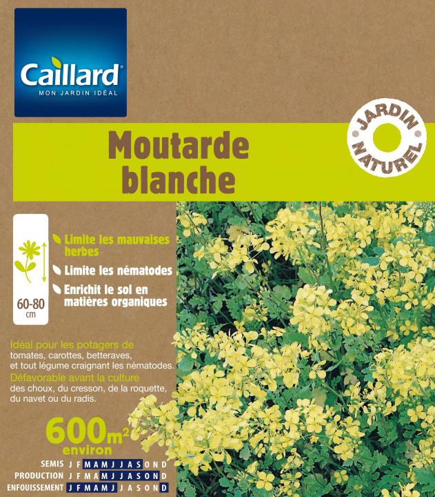 MOUTARDE BLANCHE