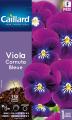 Violette VIOLA CORNUTA BLEUE