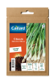CIBOULE BLANCHE HATIVE