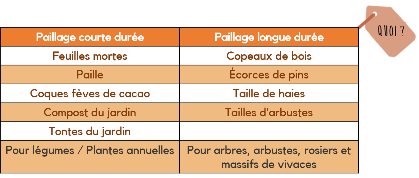 Le Paillage Au Jardin Graines Caillard